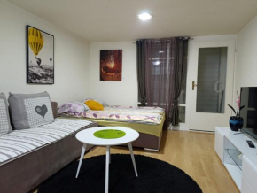 Apartment Aladin